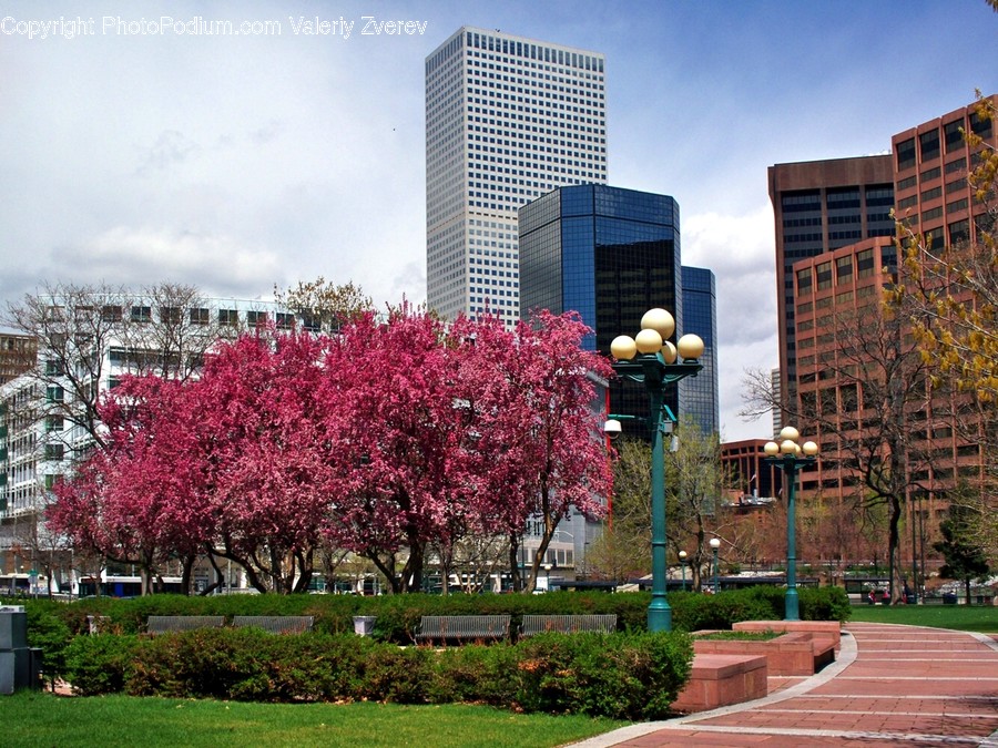 Building, Office Building, City, Downtown, Town