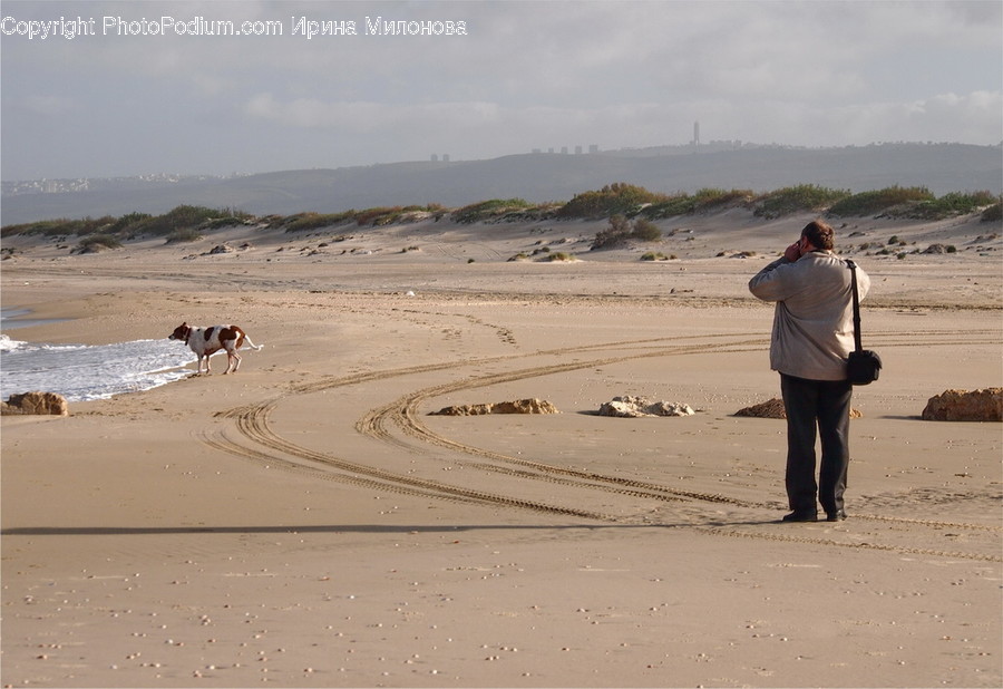Human, People, Person, Beach, Coast