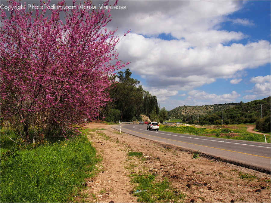 Dirt Road, Gravel, Road, Landscape, Nature