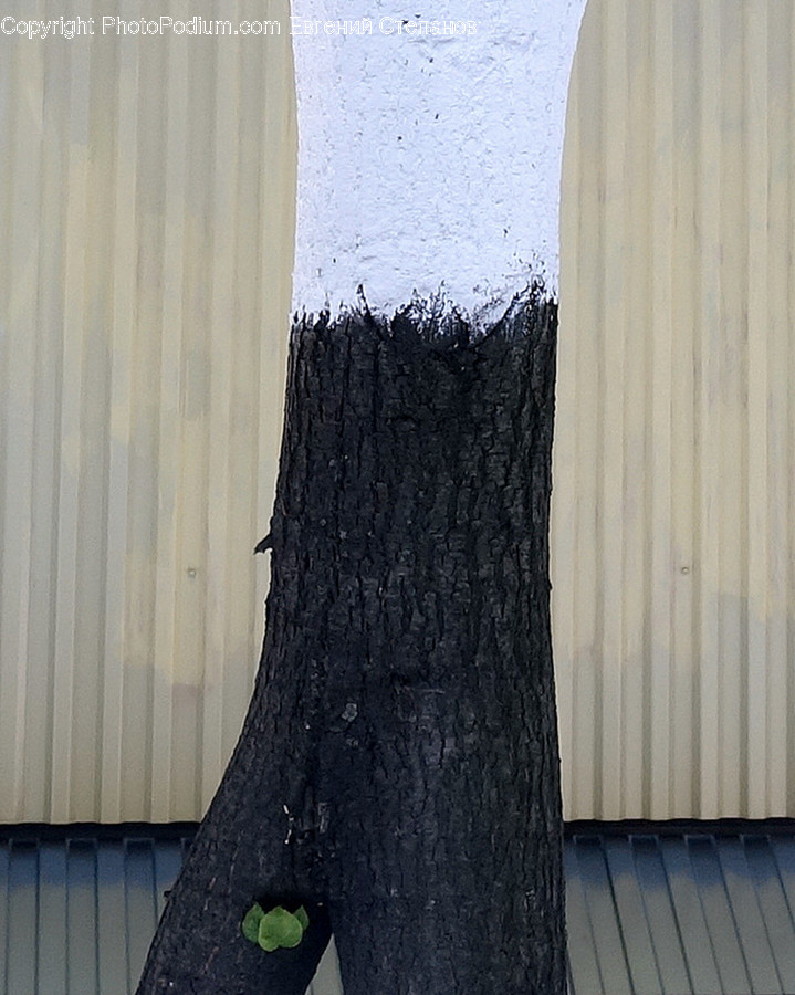 Path, Pavement, Sidewalk, Walkway, Wall
