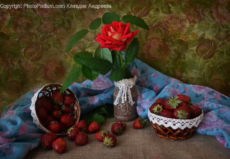 Flora, Food, Fruit, Plant, Produce