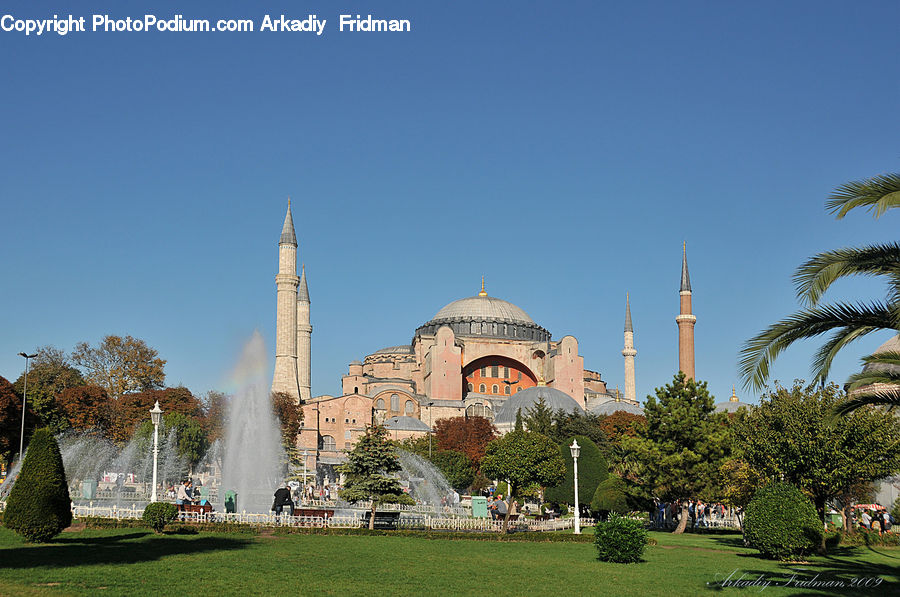 Architecture, Dome, Mosque, Worship, Palm Tree, Plant, Tree