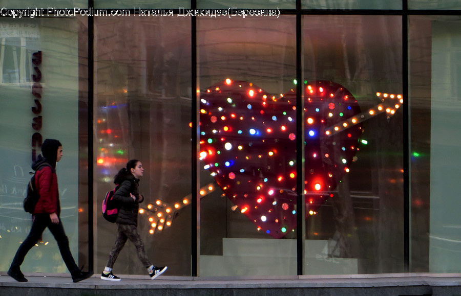 Human, People, Person, Shop, Window Display