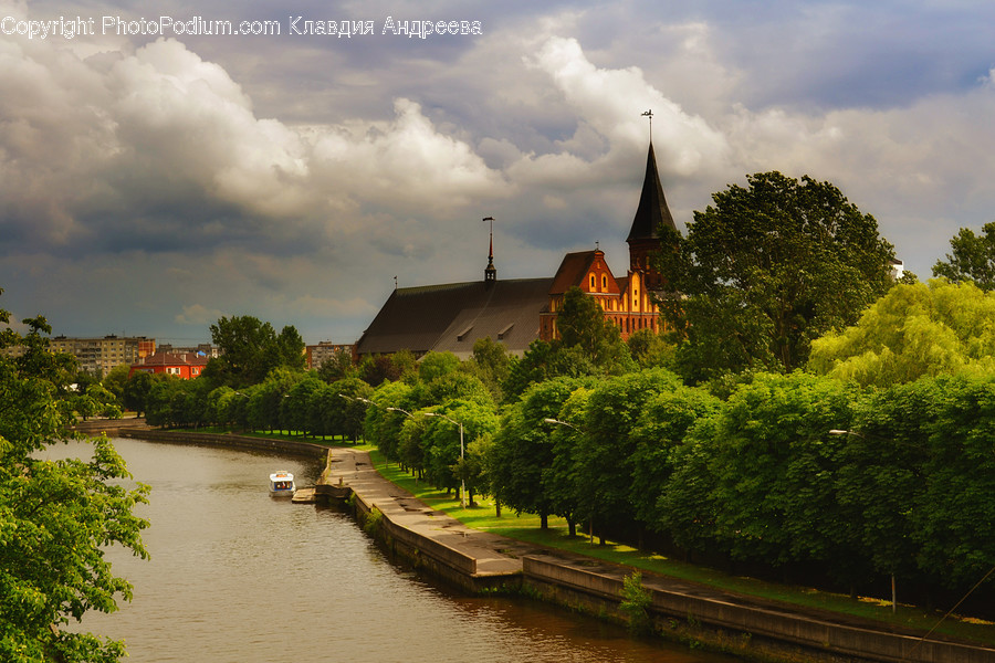 Canal, Outdoors, Water, Flora, Plant