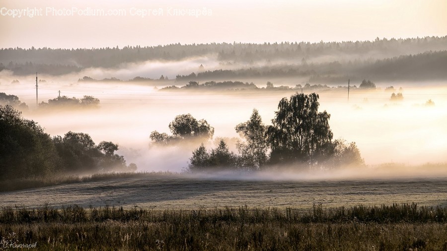Fog, Nature, Weather, Dawn, Dusk