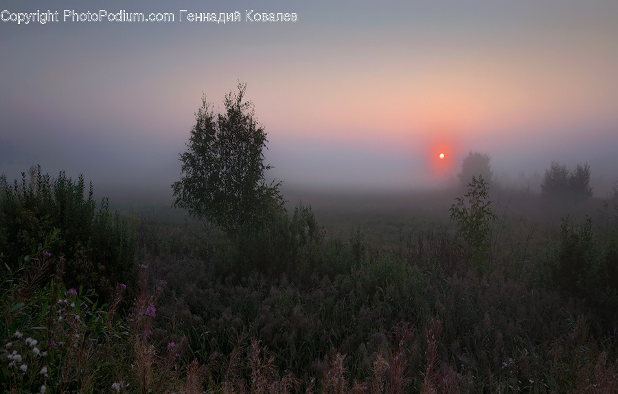 Dawn, Dusk, Nature, Outdoors, Red Sky