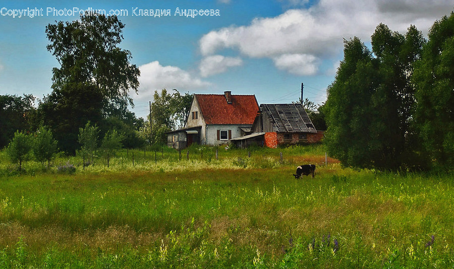 Building, Cottage, House, Housing, Countryside