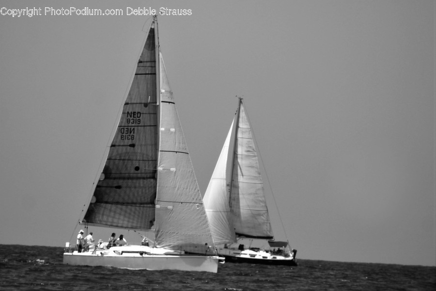 Transportation, Vessel, Watercraft, Yacht, Boat