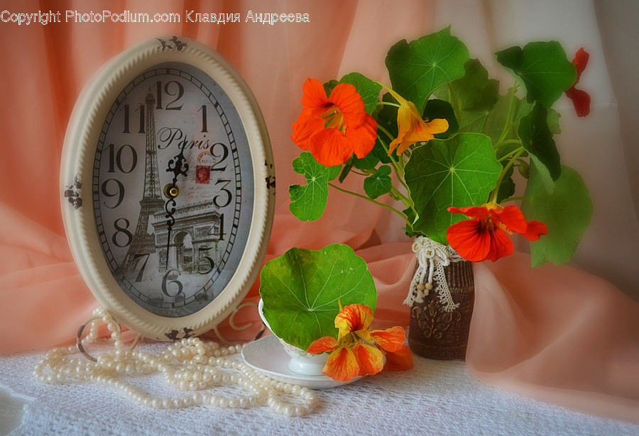 Jar, Pottery, Vase, Flora, Ivy