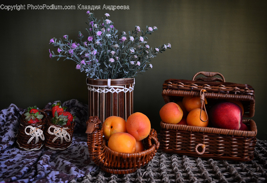 Bowl, Flora, Jar, Plant, Potted Plant