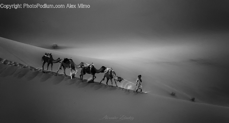 Desert, Nature, Outdoors, Soil, Silhouette