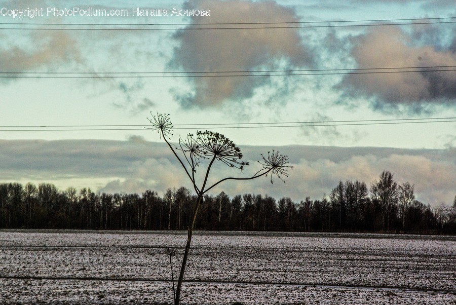 Dirt Road, Gravel, Road, Cloud, Cumulus