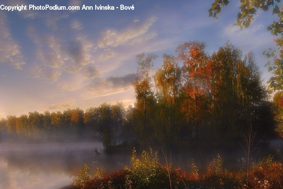 Dawn, Dusk, Sky, Sunrise, Sunset, Forest, Vegetation