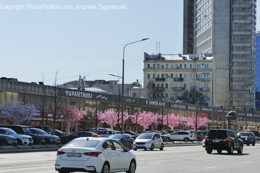 Automobile, Car, Transportation, Vehicle, Intersection