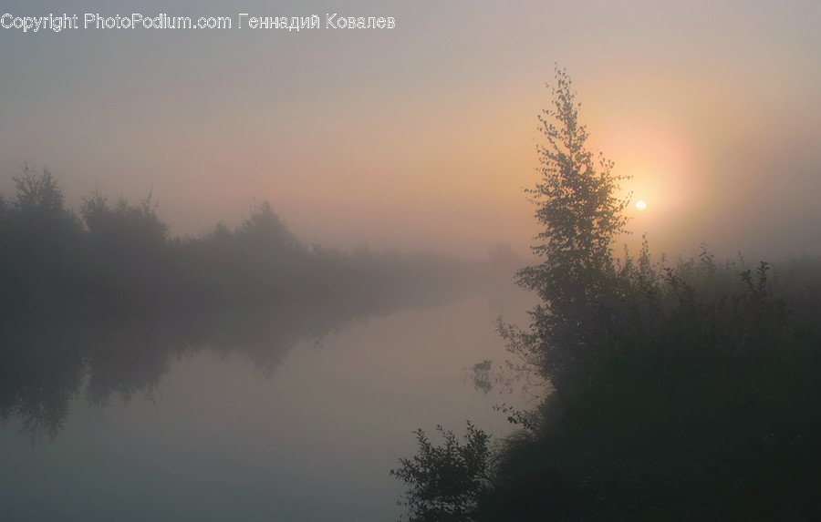 Fog, Nature, Weather, Mist, Outdoors