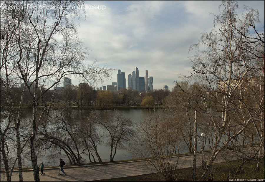 Flood, Nature, Building, City, High Rise