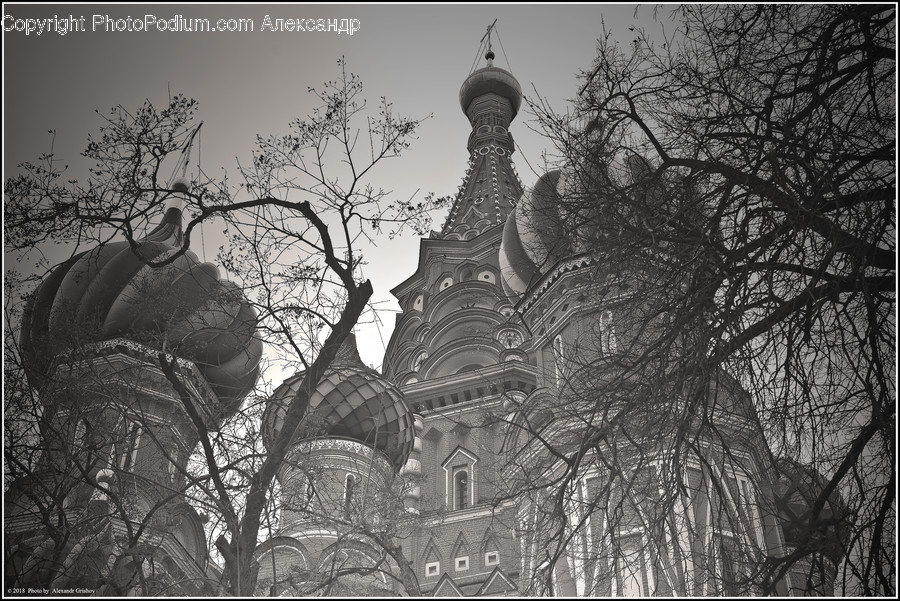 Architecture, Building, Tower, Flora, Plant