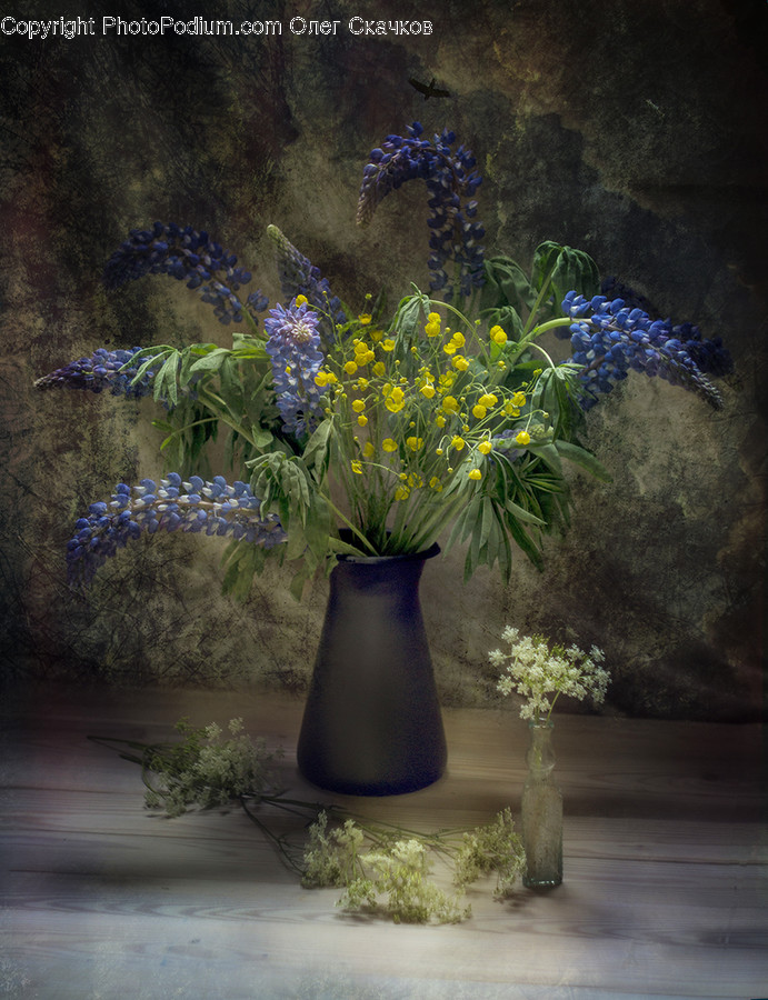 Flora, Jar, Plant, Potted Plant, Pottery