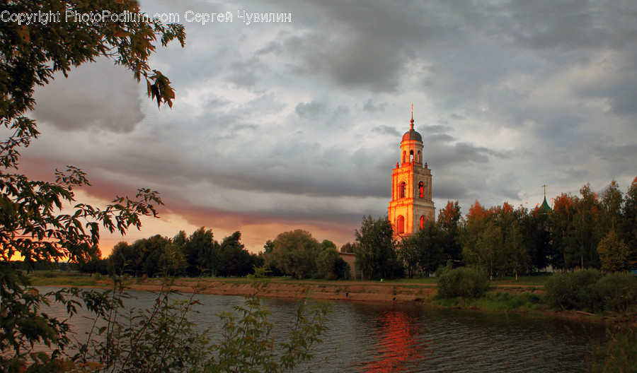 Flora, Plant, Tree, Architecture, Bell Tower