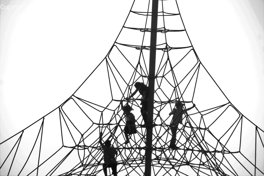 Antenna, Electrical Device, Cable, Connector, Electric Transmission Tower