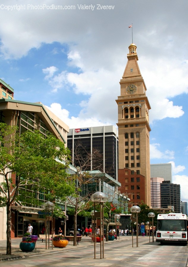 Architecture, Building, Clock Tower, Tower, Flora