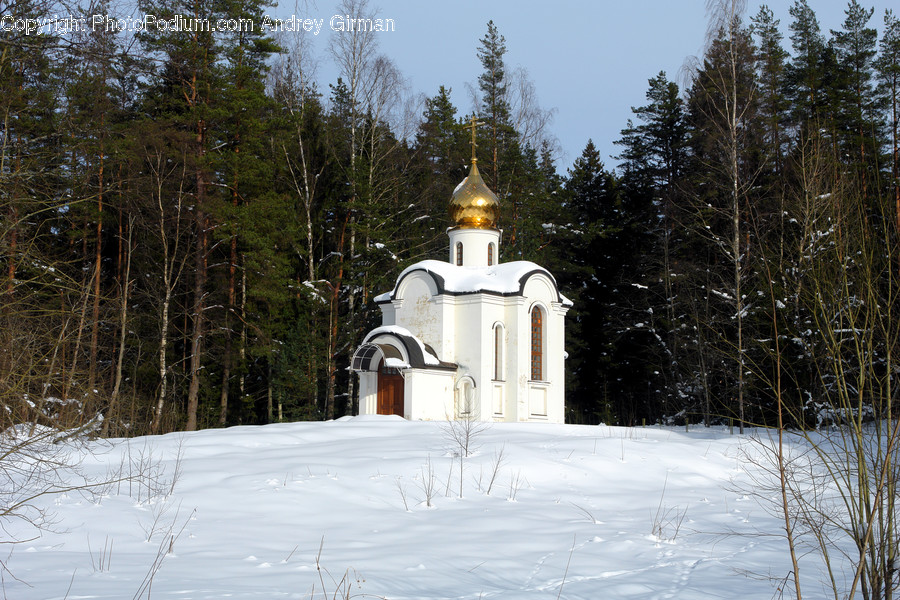 Architecture, Bell Tower, Building, Tower, Church