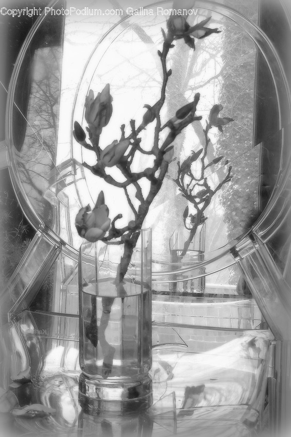 Jar, Beverage, Drink, Water, Building