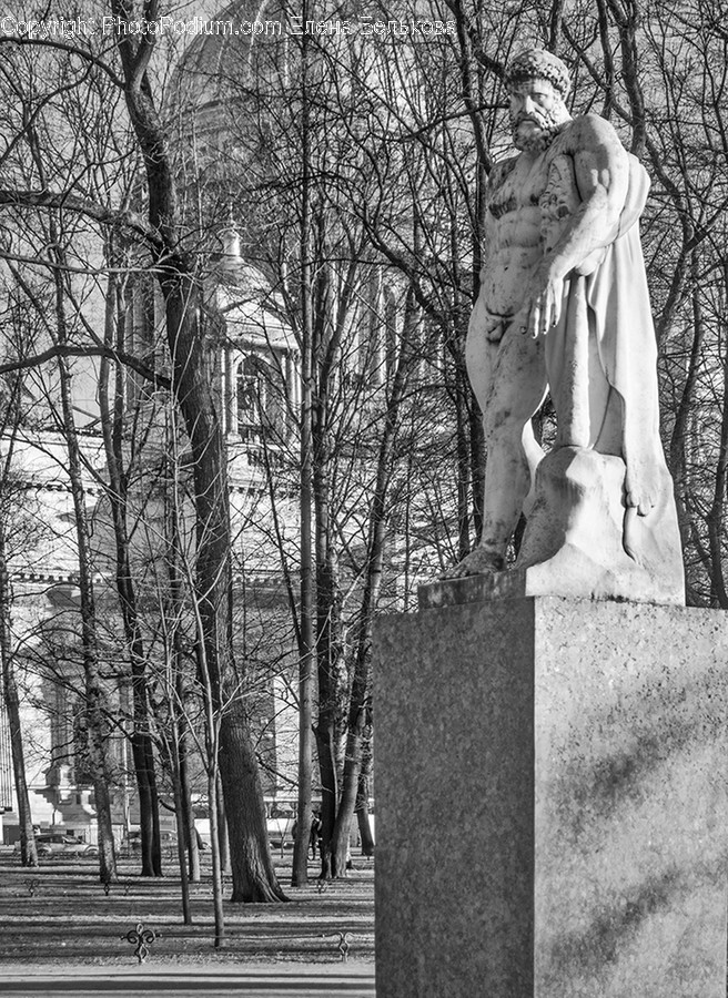 Art, Sculpture, Flora, Forest, Land