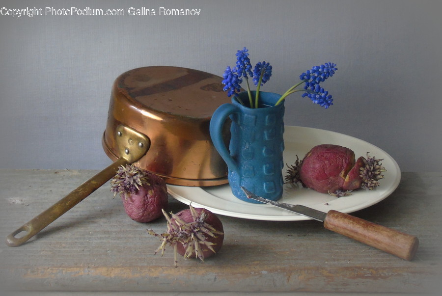 Flora, Jar, Plant, Potted Plant, Pottery