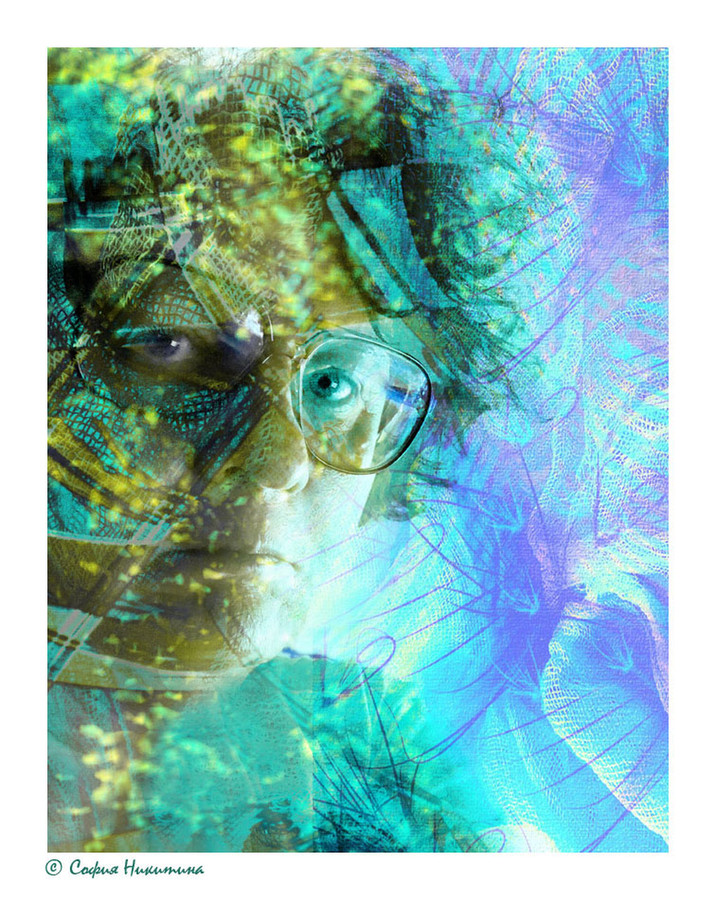 Collage, Poster, Animal, Fish, Hurricane