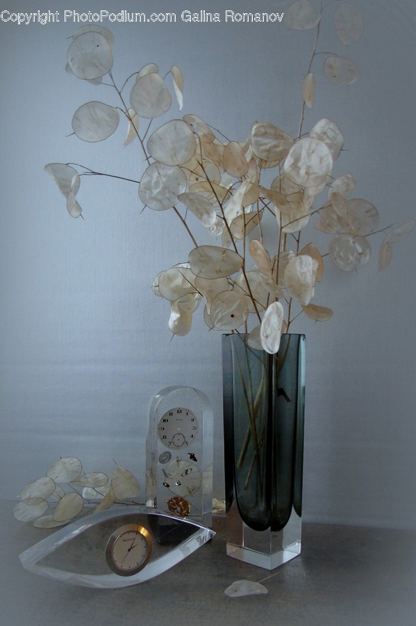 Art, Blossom, Flora, Flower, Flower Arrangement