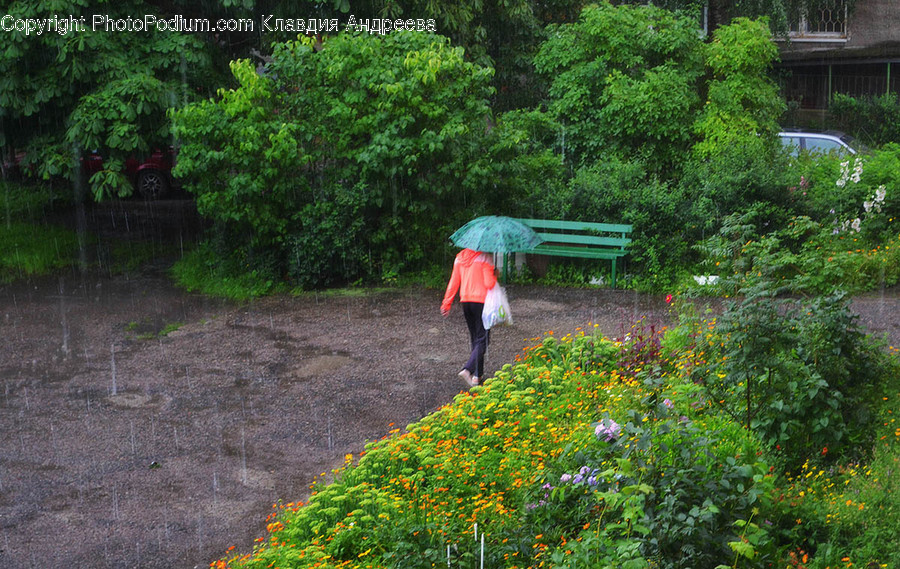 Human, People, Person, Canopy, Umbrella