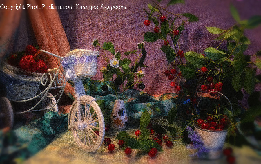 Flora, Jar, Plant, Potted Plant, Pottery