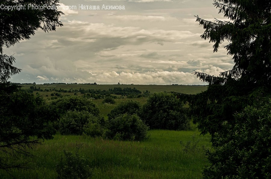 Field, Grassland, Outdoors, Landscape, Nature