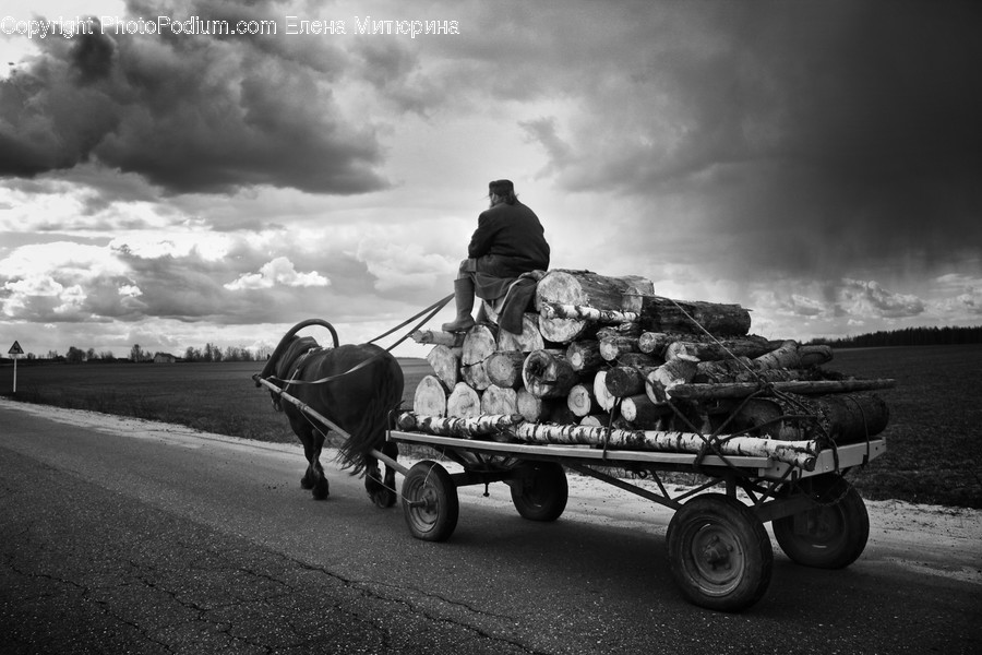 Human, People, Person, Transportation, Vehicle