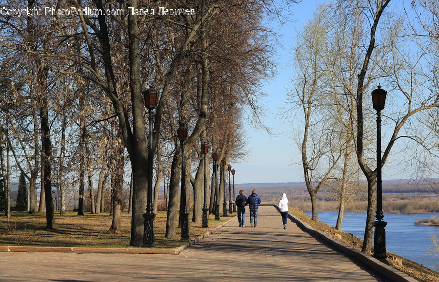 Boardwalk, Bridge, Building, Exercise, Fitness