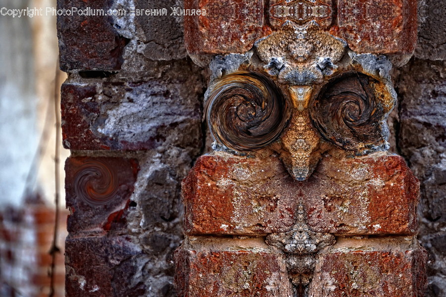 Rust, Brick, Birch, Flora, Plant