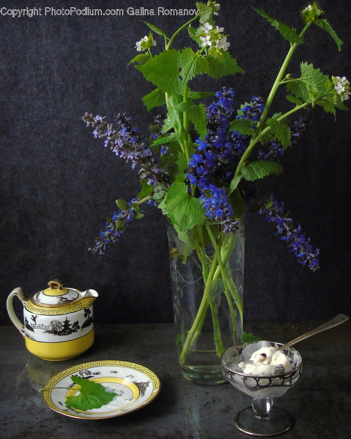 Pot, Blossom, Flora, Flower, Geranium