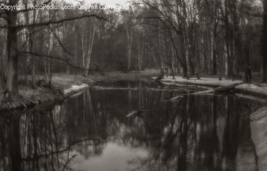 Canal, Outdoors, Water, Land, Marsh