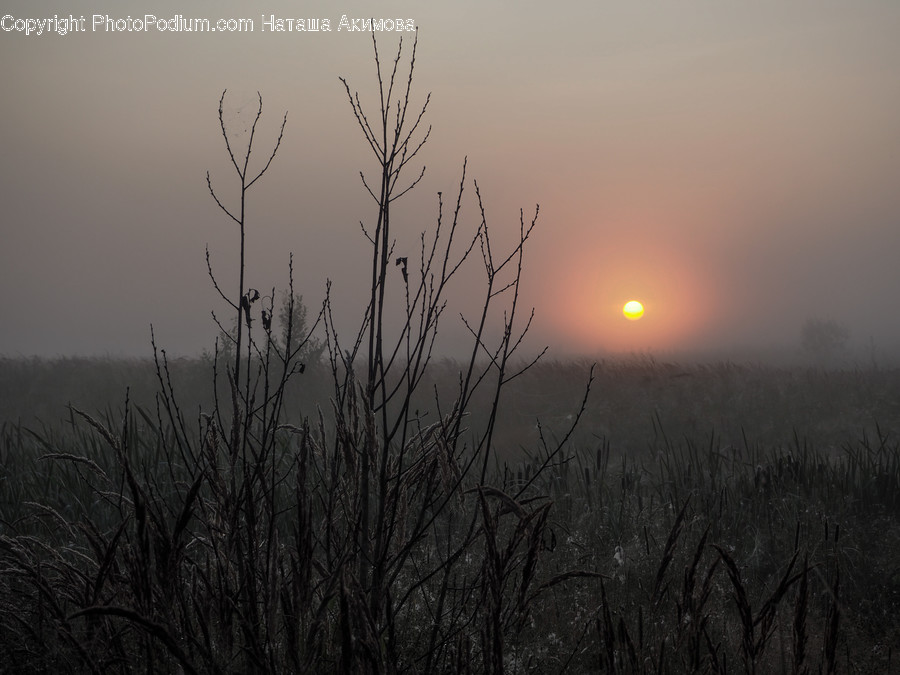 Dawn, Dusk, Nature, Outdoors, Red Sky