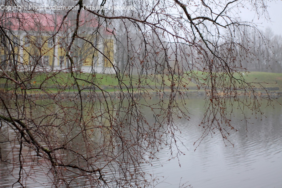 Flood, Nature, Landscape, Outdoors, Scenery