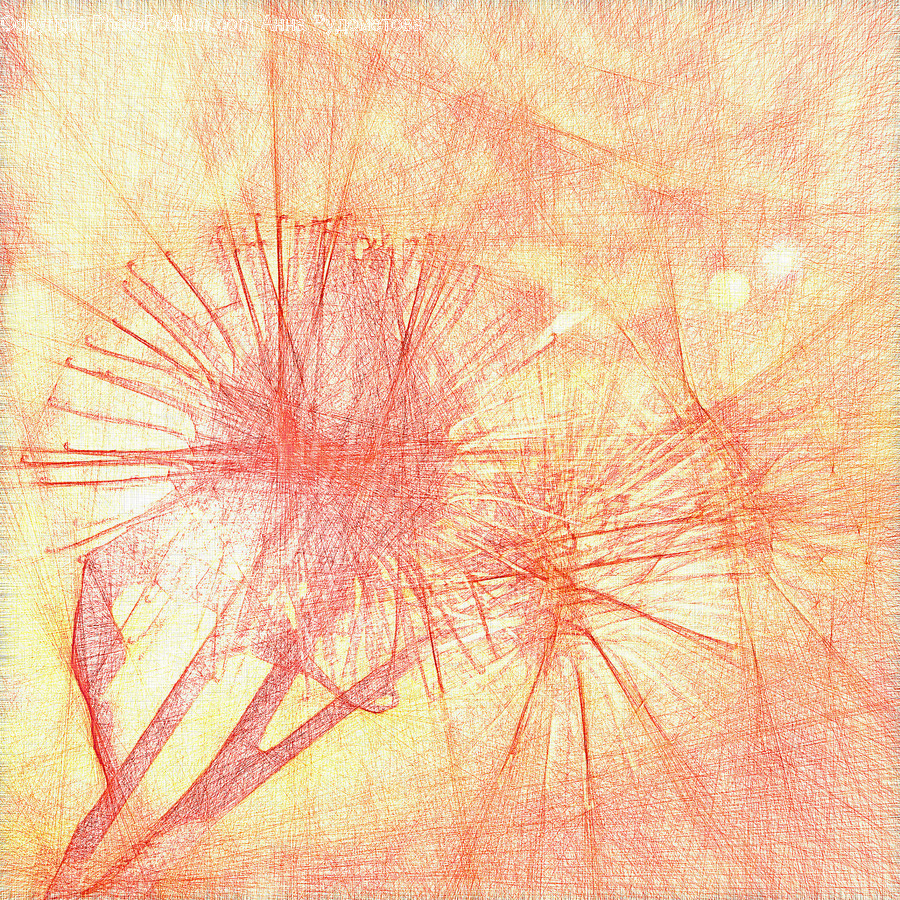 Paper, Skin, Art, Drawing, Cushion