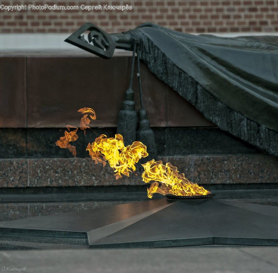 Fire, Flame, Art, Blossom, Flora