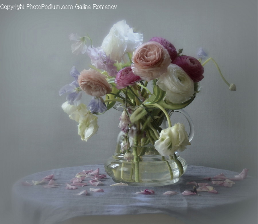 Blossom, Flora, Flower, Flower Arrangement, Ornament