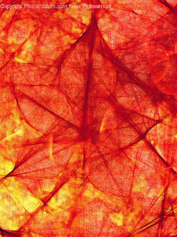 Veins, Flora, Leaf, Maple Leaf, Plant