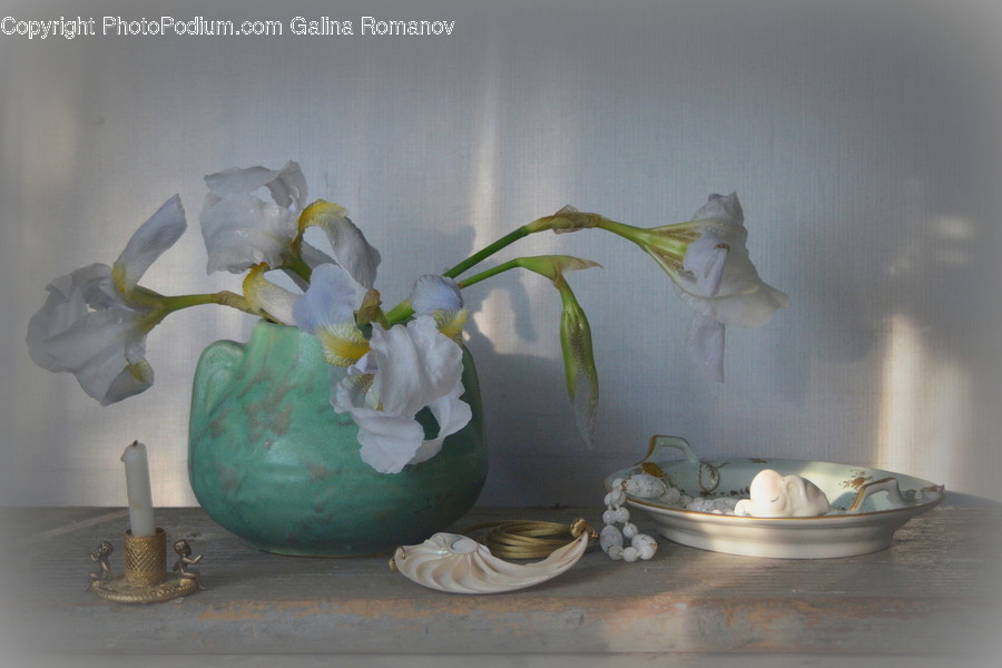 Art, Blossom, Flora, Flower, Flower Arrangement