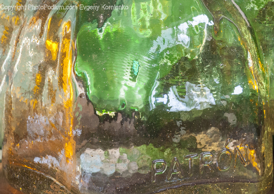 Algae, Flora, Plant, Art, Modern Art