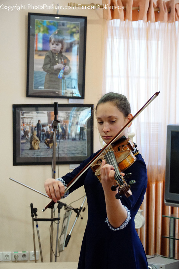 Human, People, Person, Fiddle, Leisure Activities
