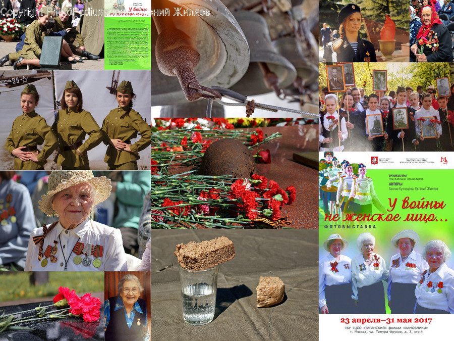 Human, People, Person, Collage, Poster