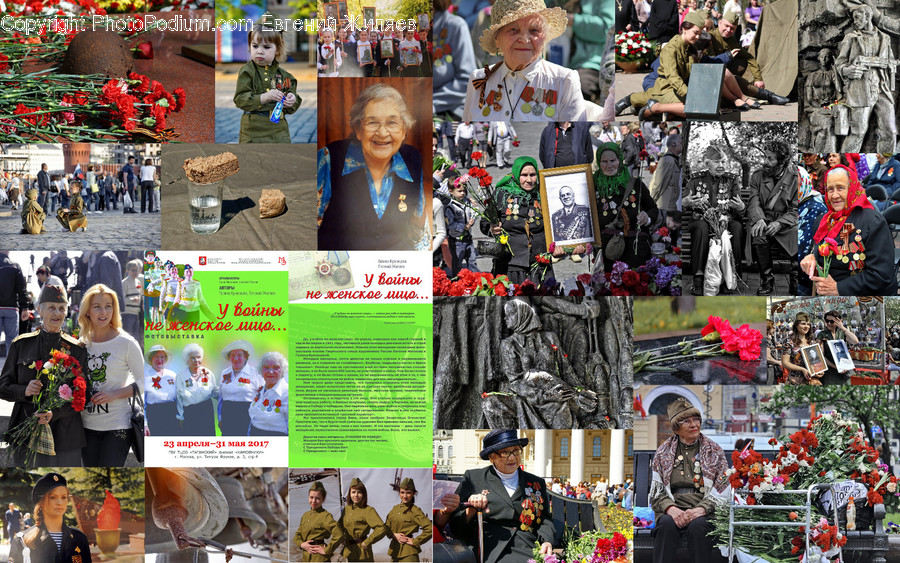 Collage, Poster, Human, People, Person